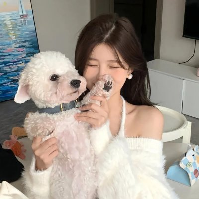 无爱理想国