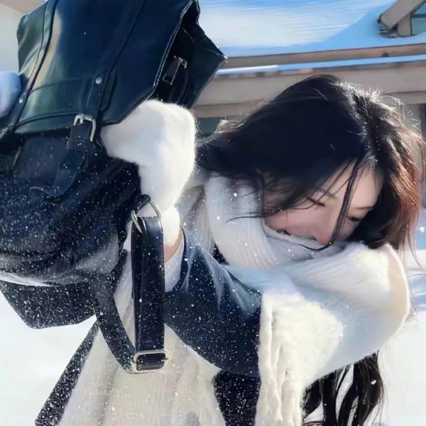 面目全飞