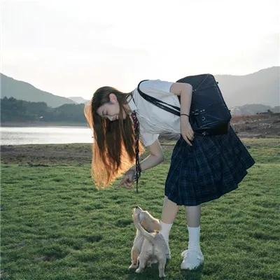动物园之夜