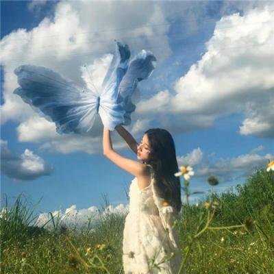野性的冬天